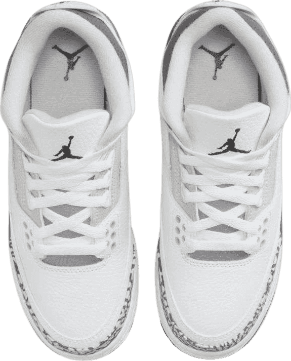 Air Jordan 3 Retro Hide N' Sneak (GS)