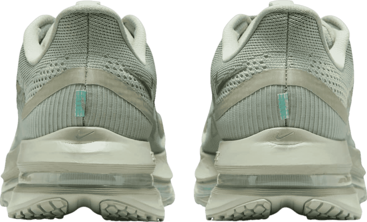 Nike Pegasus Premium Jade Horizon