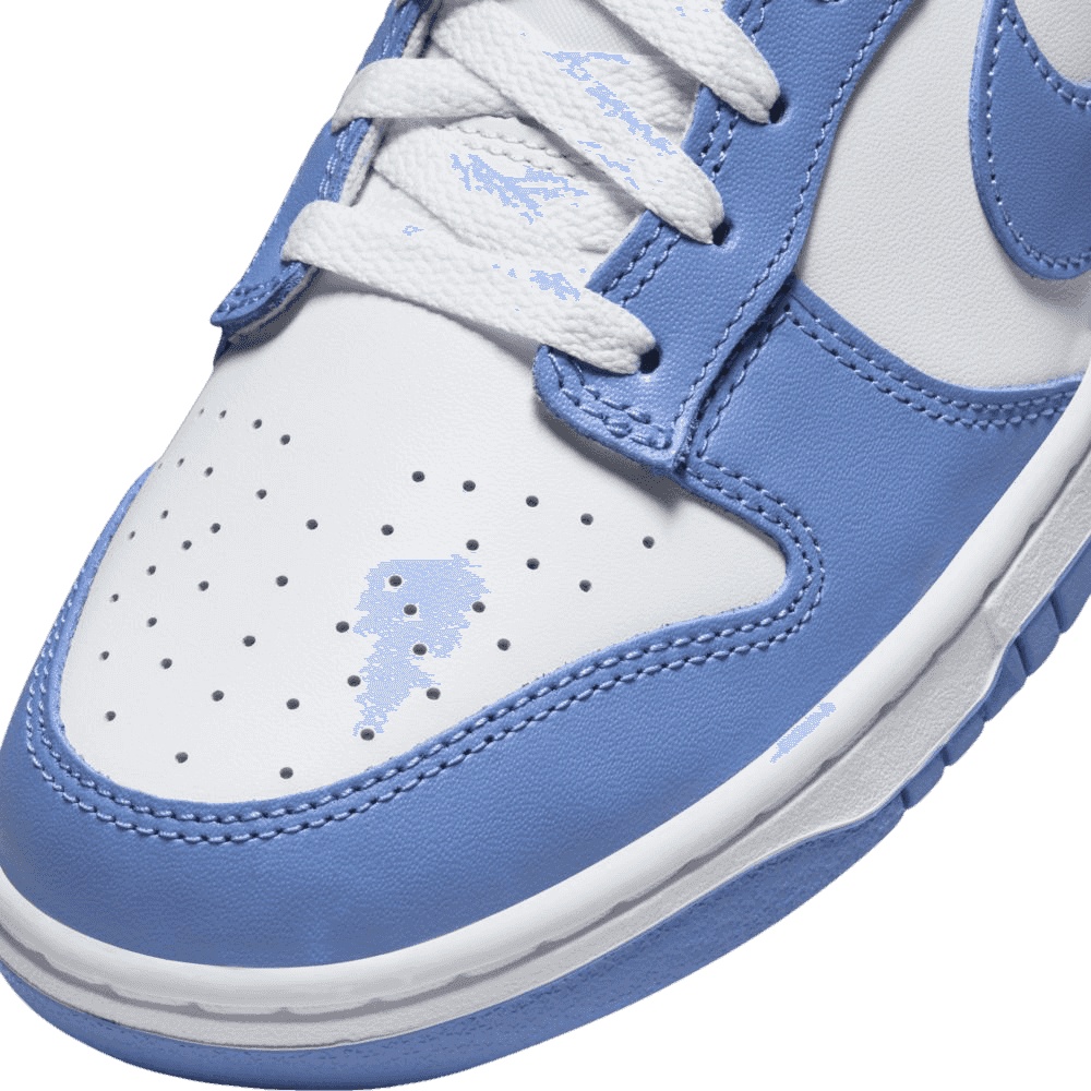 Nike Dunk Low Polar Blue