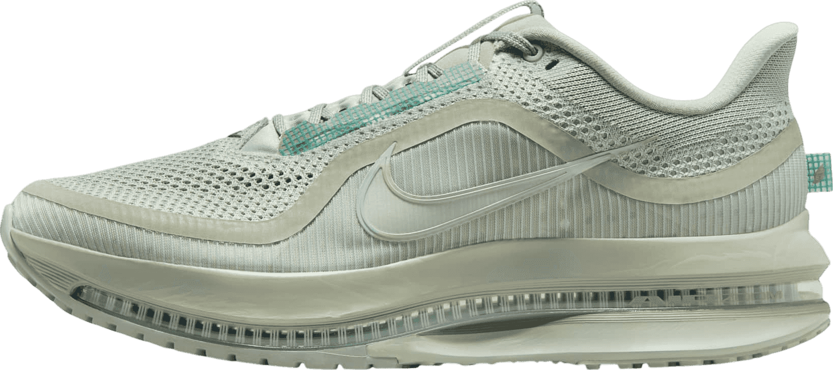 Nike Pegasus Premium Jade Horizon