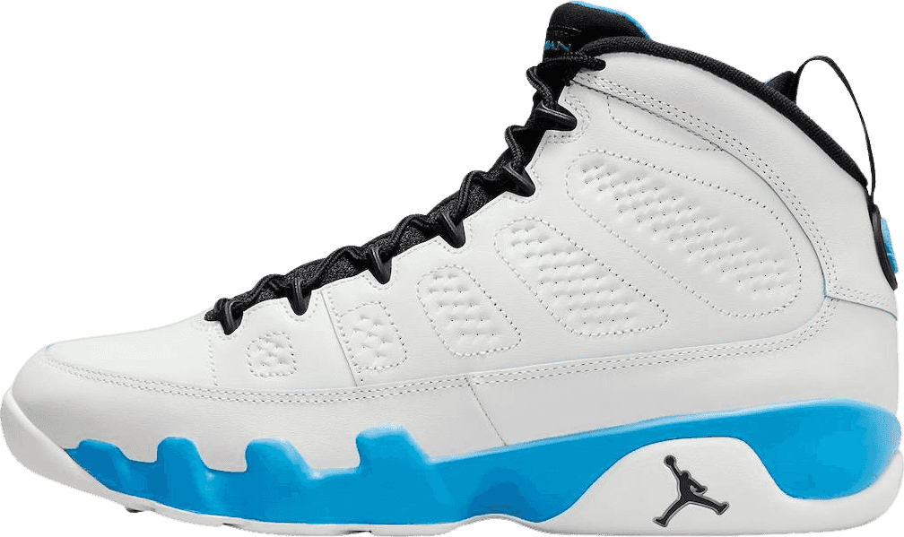 Air Jordan 9 Powder Blue (2024)