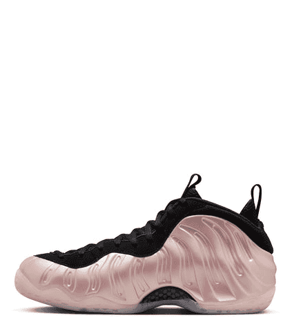 Nike Air Foamposite "DMV"