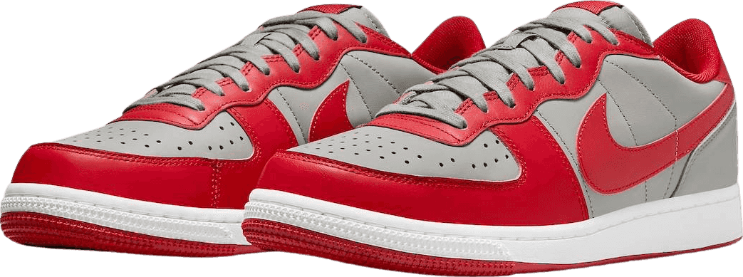 Nike Terminator Low UNLV