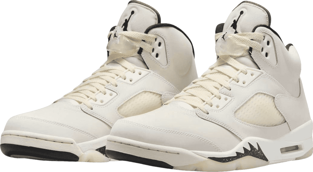 Air Jordan 5 SE Sail