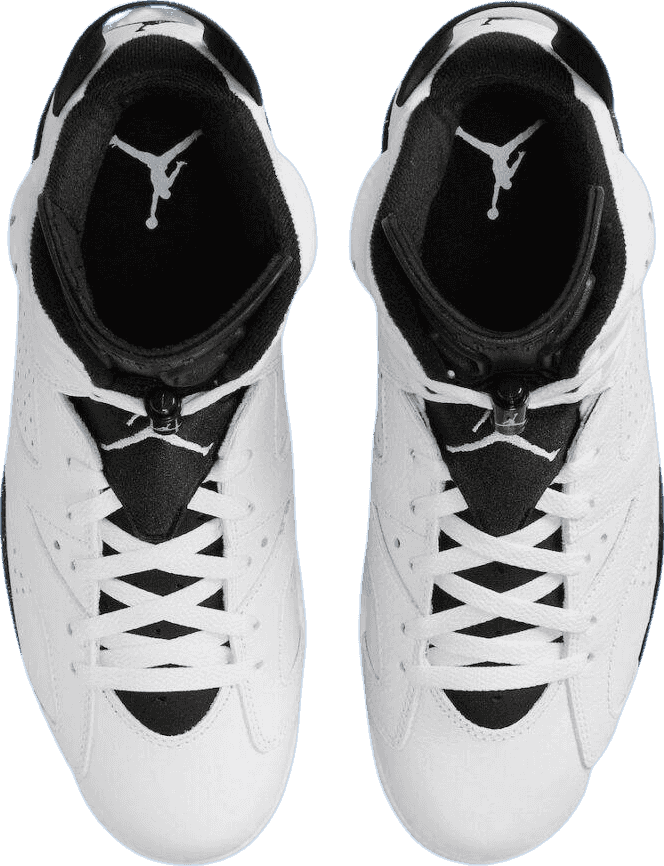 Air Jordan 6 Reverse Oreo