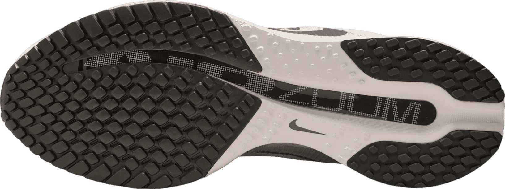 Nike Pegasus Premium Run Platinum Tint