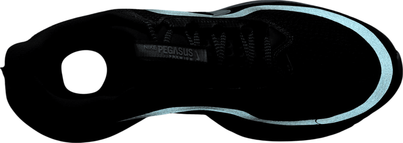 Nike Pegasus Premium Anthracite