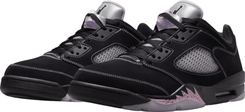 Air Jordan 5 Low Dongdan (2023)