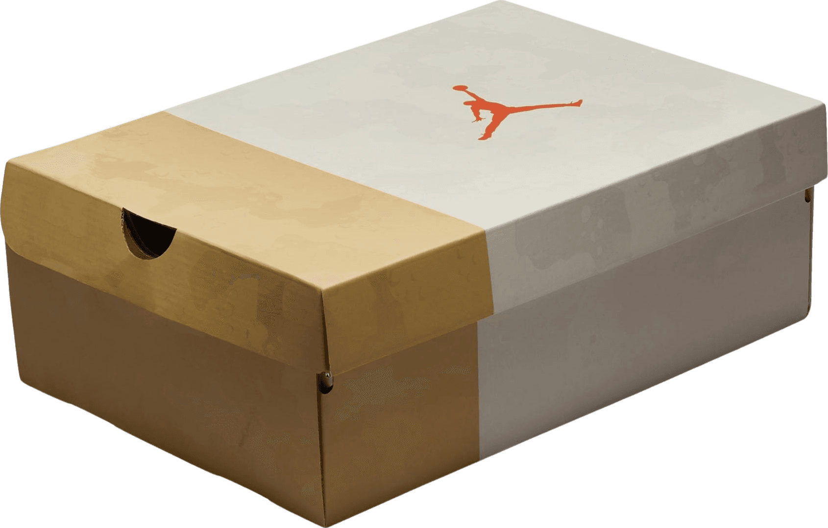 Air Jordan 3 WNBA Desert Camo (W)
