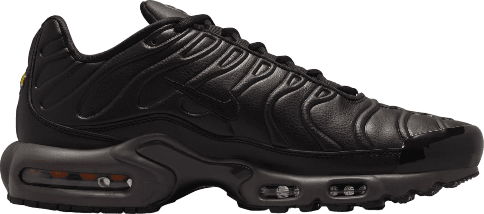 Nike Air Max Plus Black Tea/Petra Brown