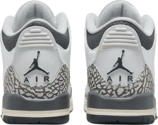 Air Jordan 3 Retro Hide N' Sneak (GS)