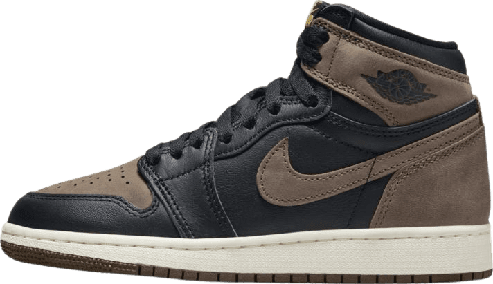 Air Jordan 1 High Palomino (GS)