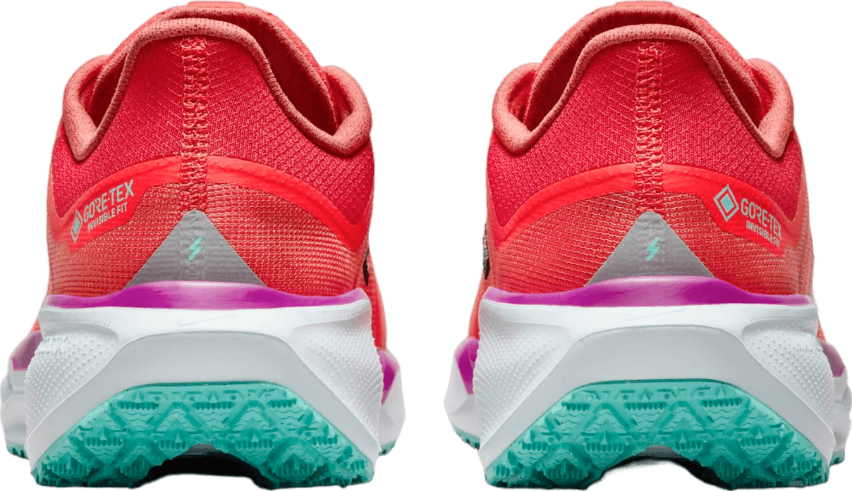 Nike Pegasus 41 GORE-TEX Track Red