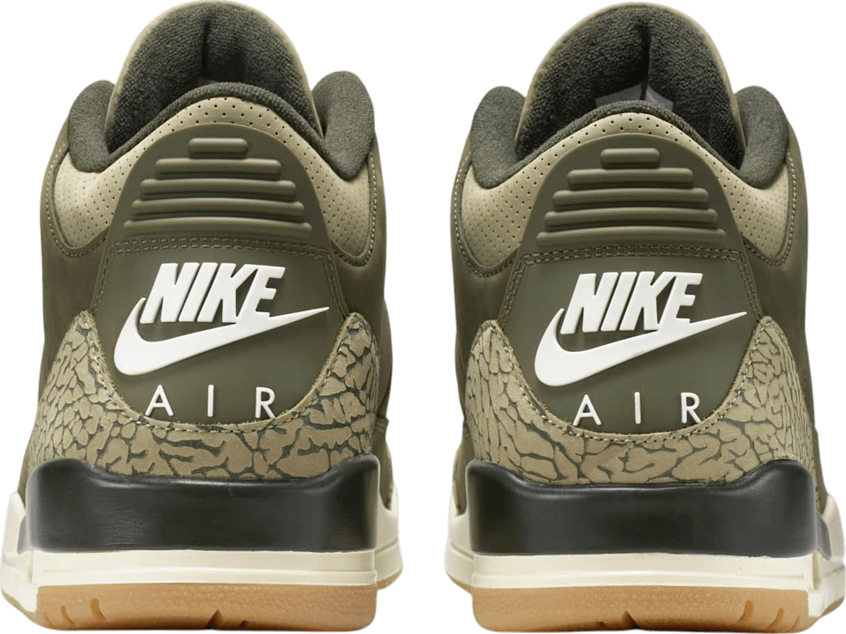 Air Jordan 3 "Family Affair"