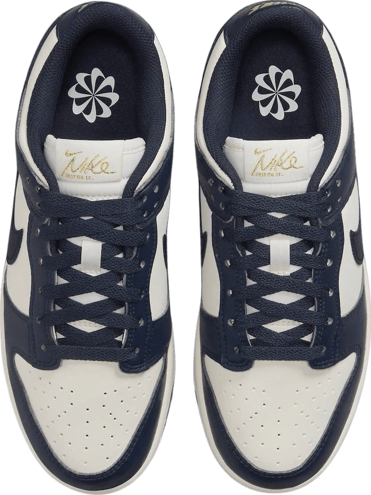 Nike Dunk Low Next Nature Olympic (W)