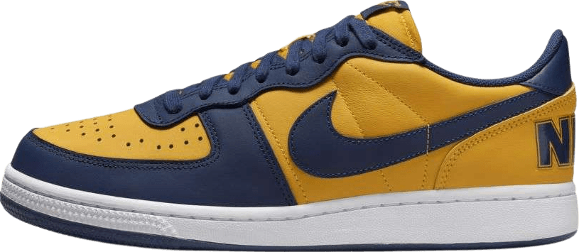 Nike Terminator Low Michigan