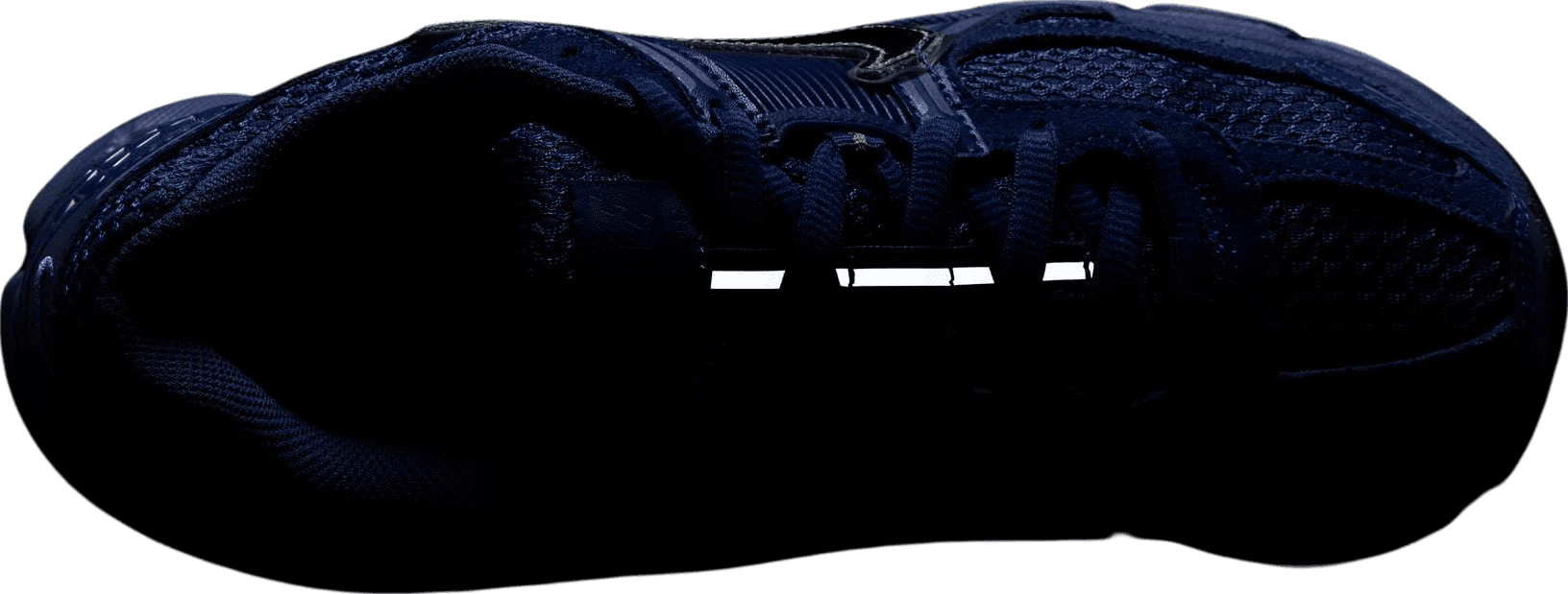 Nike Zoom Vomero 5 Race Blue (W)