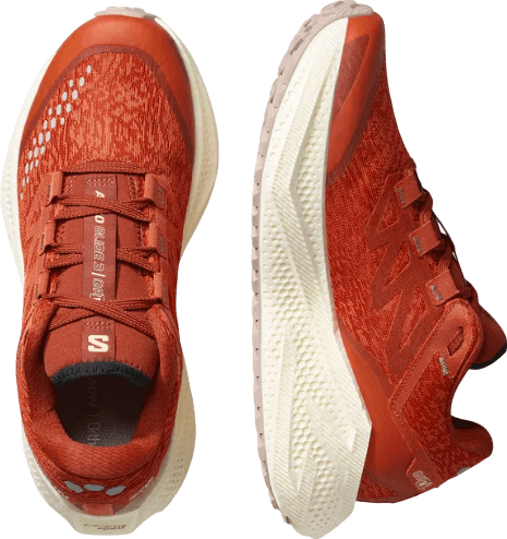 Salomon Aero Glide 3 GRVL Burnt Ochre (W)