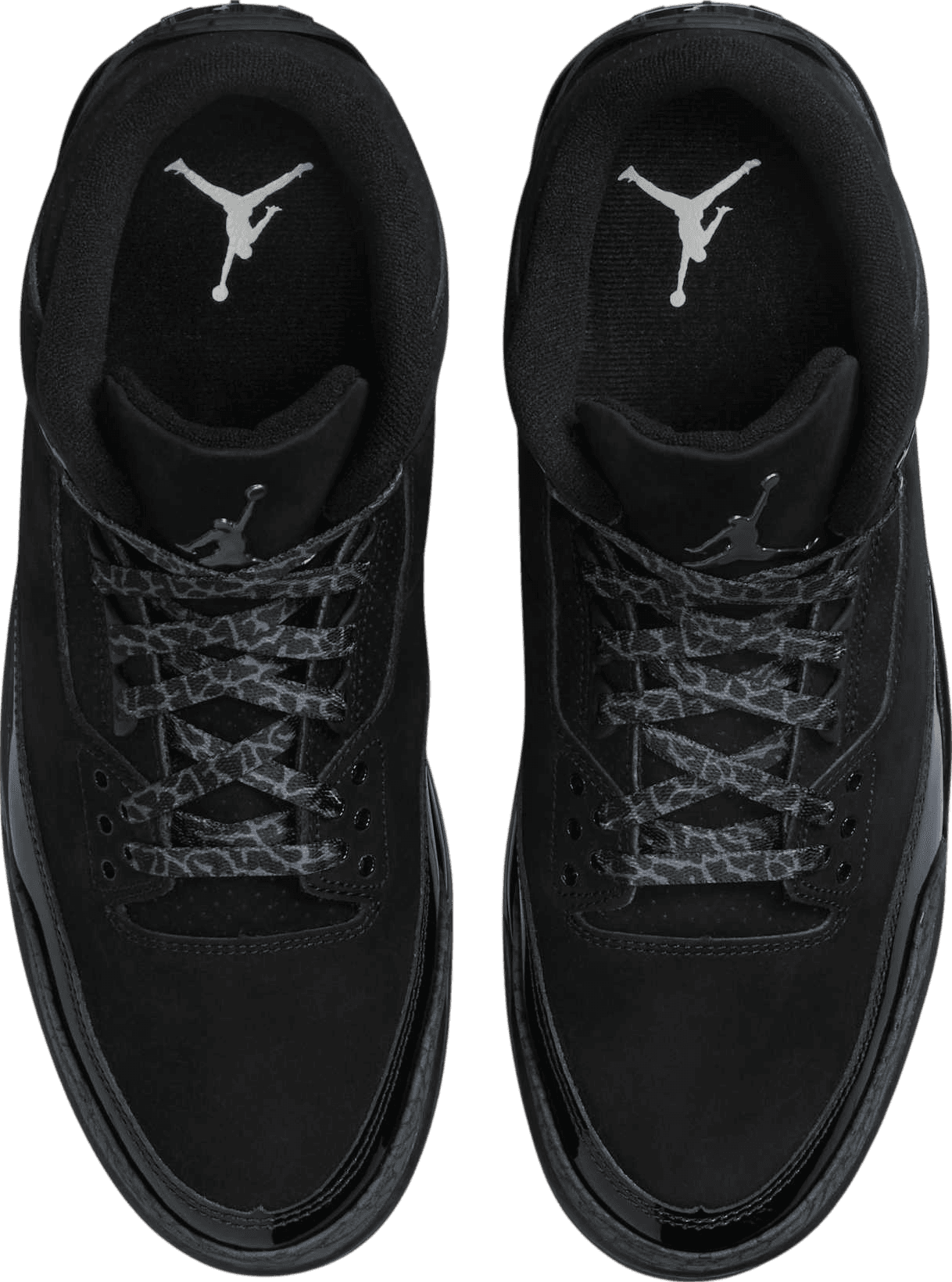 Air Jordan 3 Black Cat