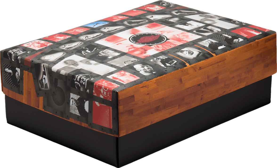 Air Jordan 10 Shadow (2025)