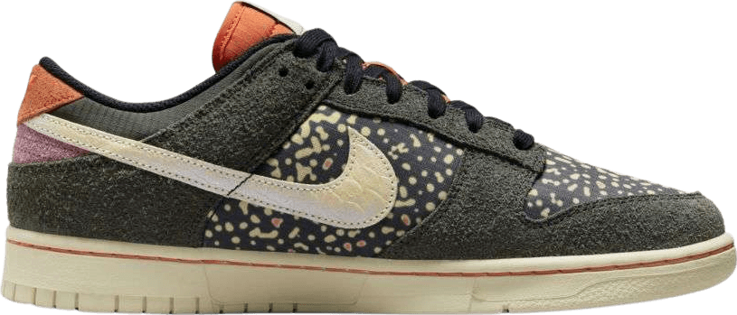 Nike Dunk Low Rainbow Trout