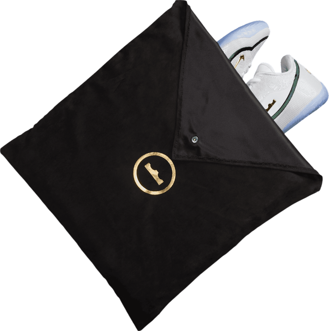 Nike LeBron 23 From This Point Forward