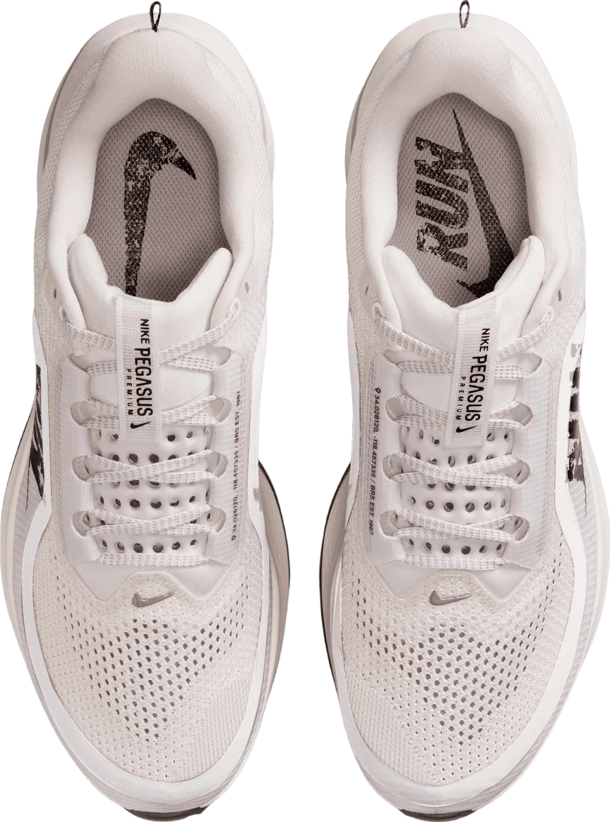 Nike Pegasus Premium Run Platinum Tint