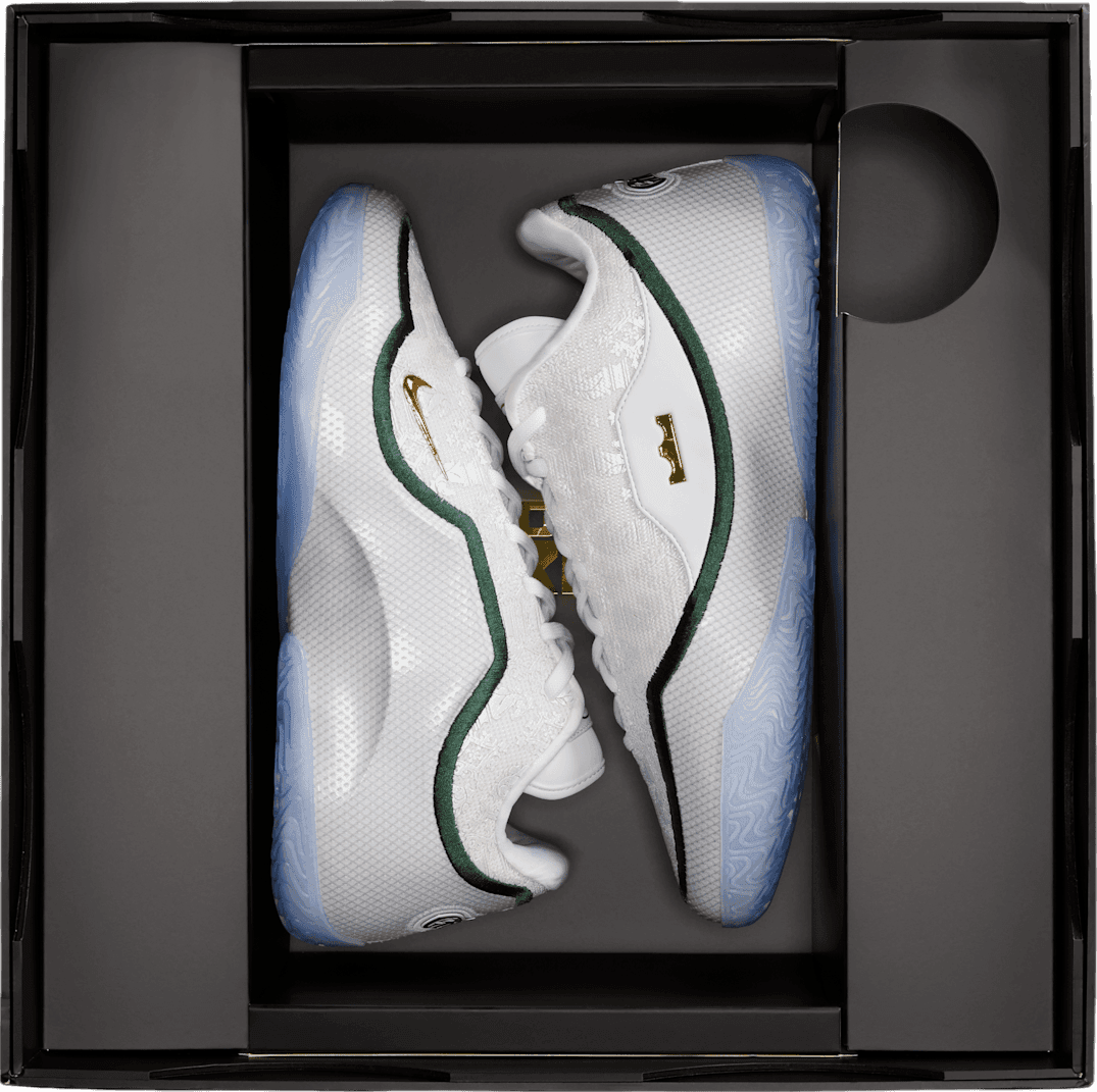 Nike LeBron 23 From This Point Forward