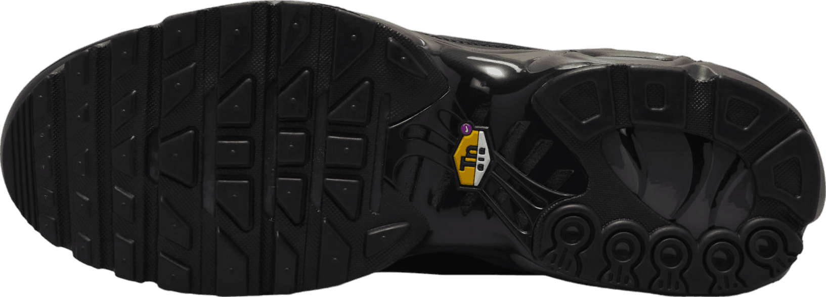Nike Air Max Plus Black Tea/Petra Brown