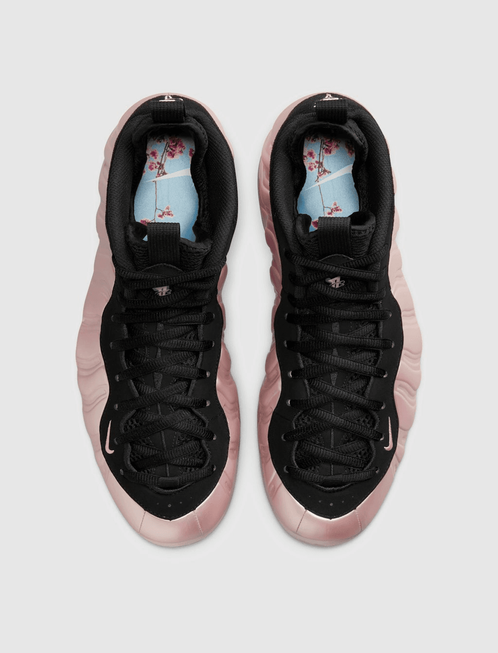 Nike Air Foamposite "DMV"