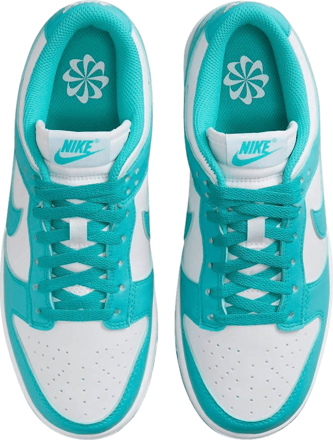 Nike Dunk Low Next Nature Dusty Cactus