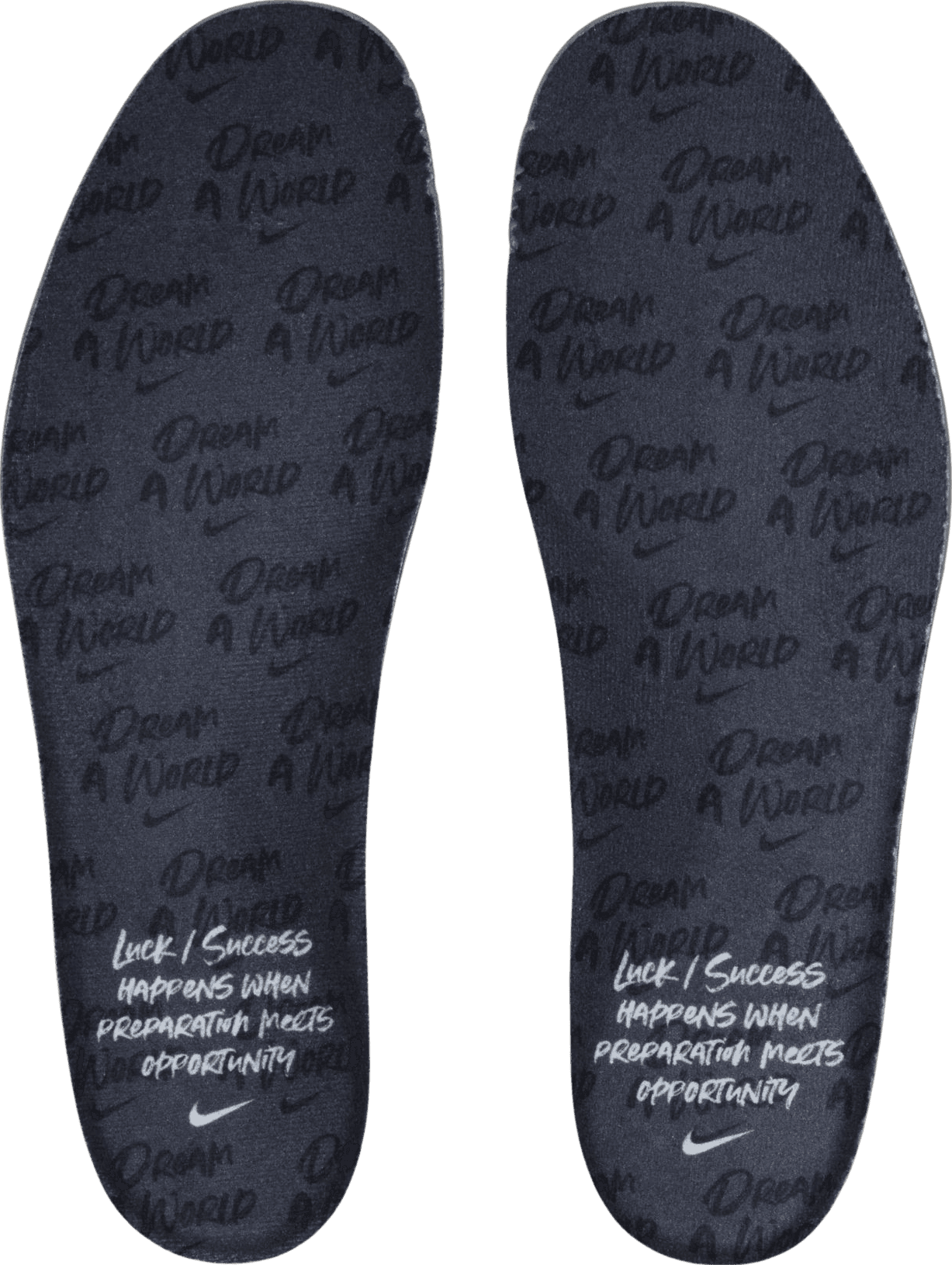 Nike Air Foamposite One Dream A World Black