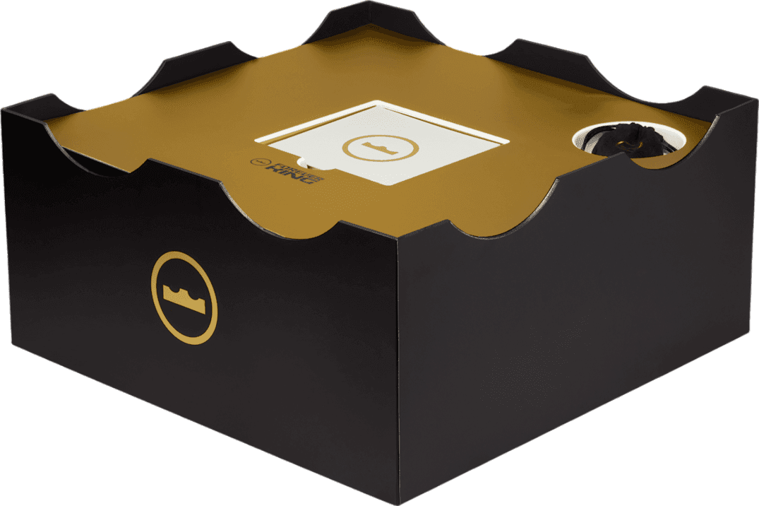 Nike LeBron 23 From This Point Forward