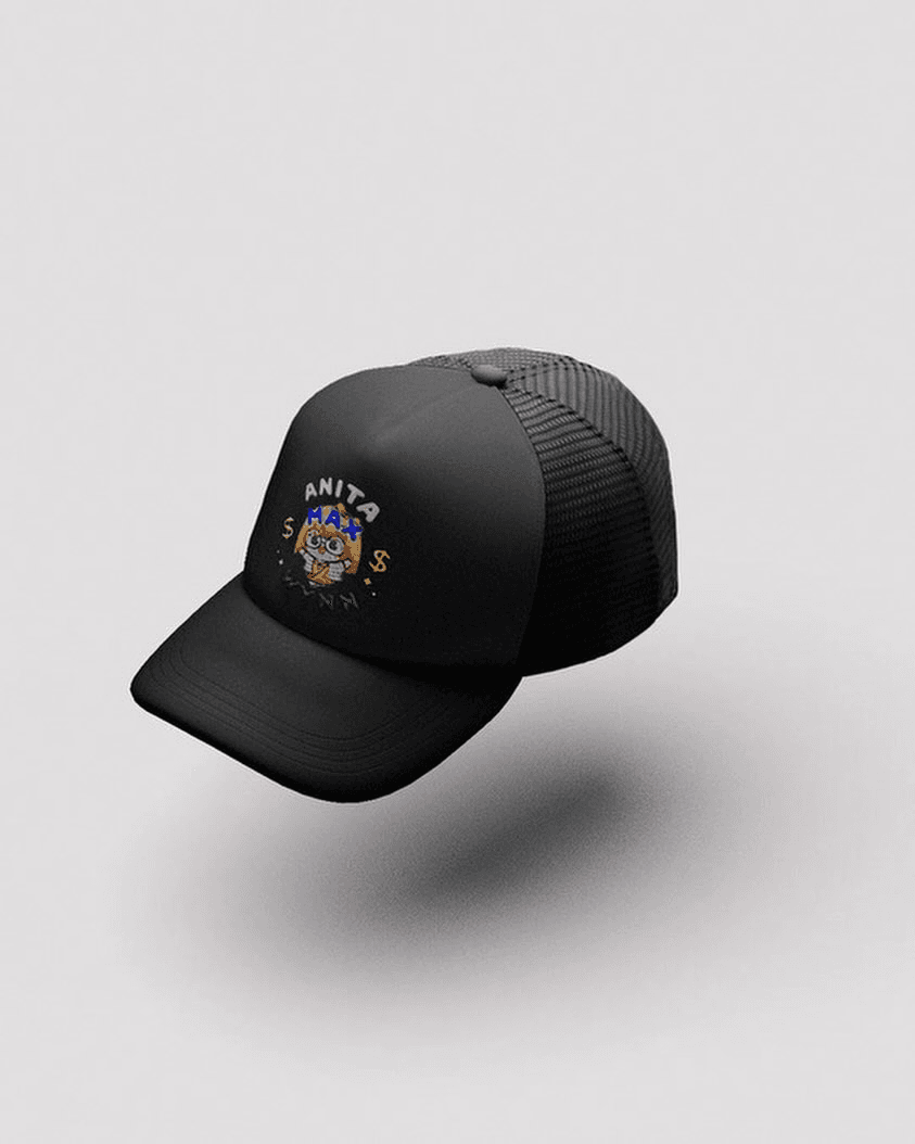 Drake ANITA MAX WYNN Hat