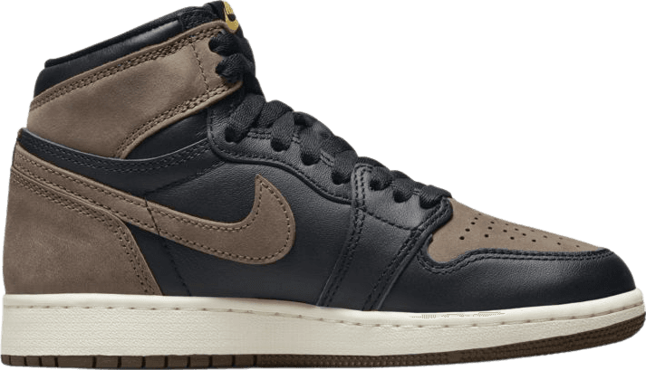 Air Jordan 1 High Palomino (GS)
