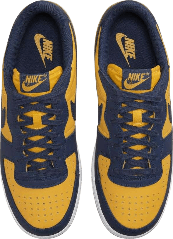 Nike Terminator Low Michigan