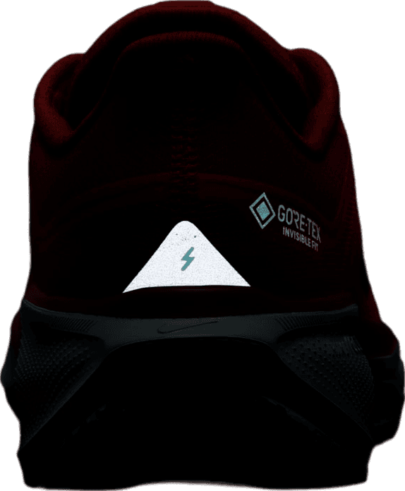 Nike Pegasus 41 GORE-TEX Track Red