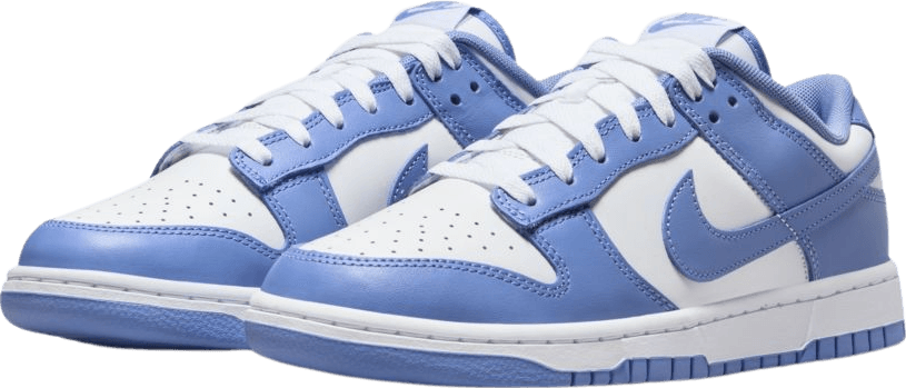 Nike Dunk Low Polar Blue