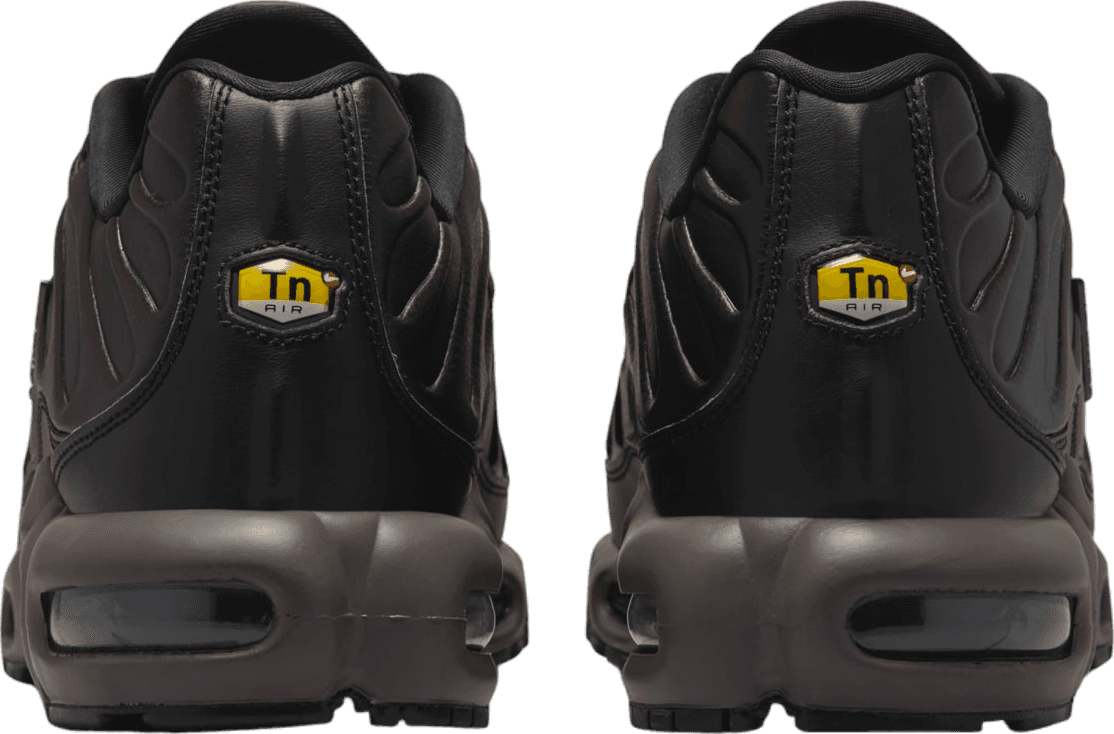 Nike Air Max Plus Black Tea/Petra Brown