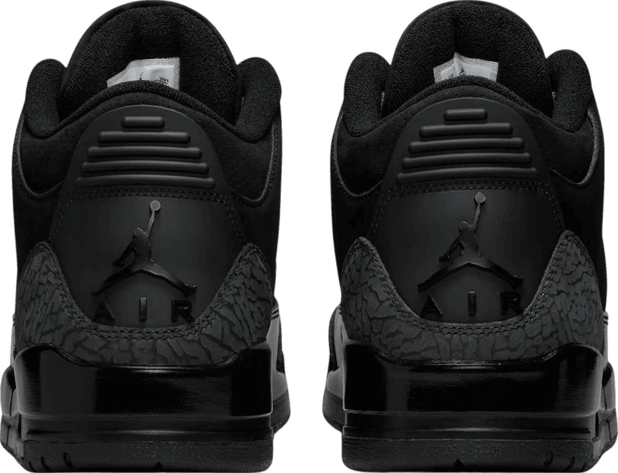 Air Jordan 3 Black Cat