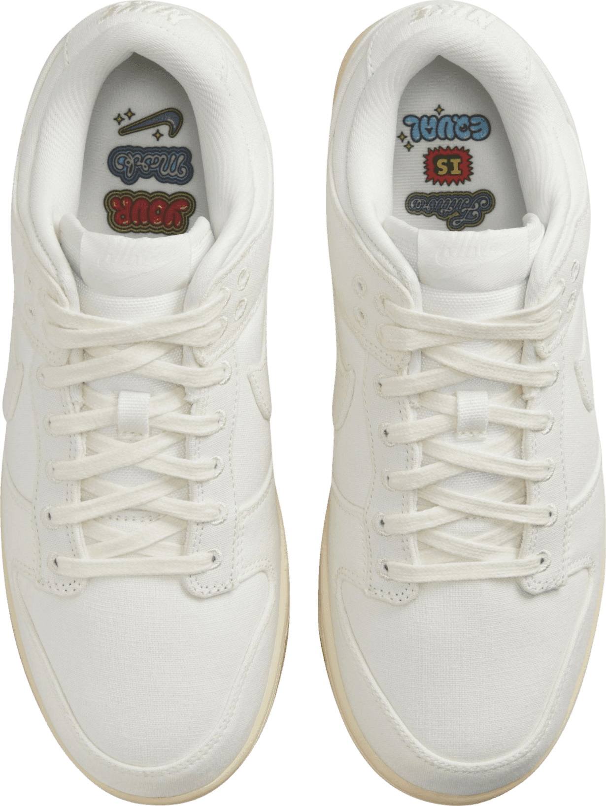 Nike Dunk Low The Future Is Equal (W)