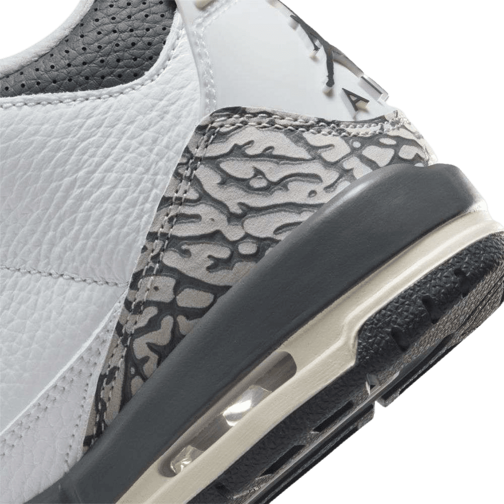 Air Jordan 3 Retro Hide N' Sneak (GS)