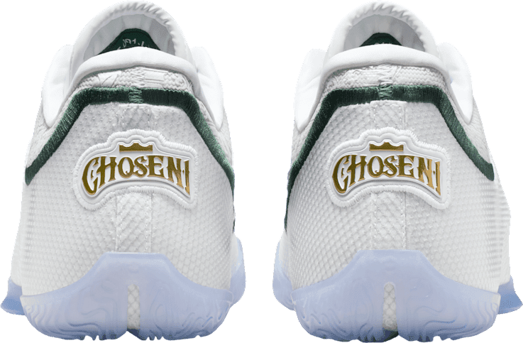 Nike LeBron 23 From This Point Forward