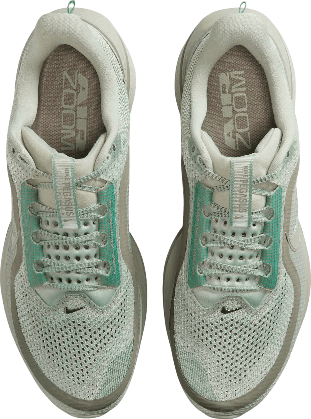 Nike Pegasus Premium Jade Horizon