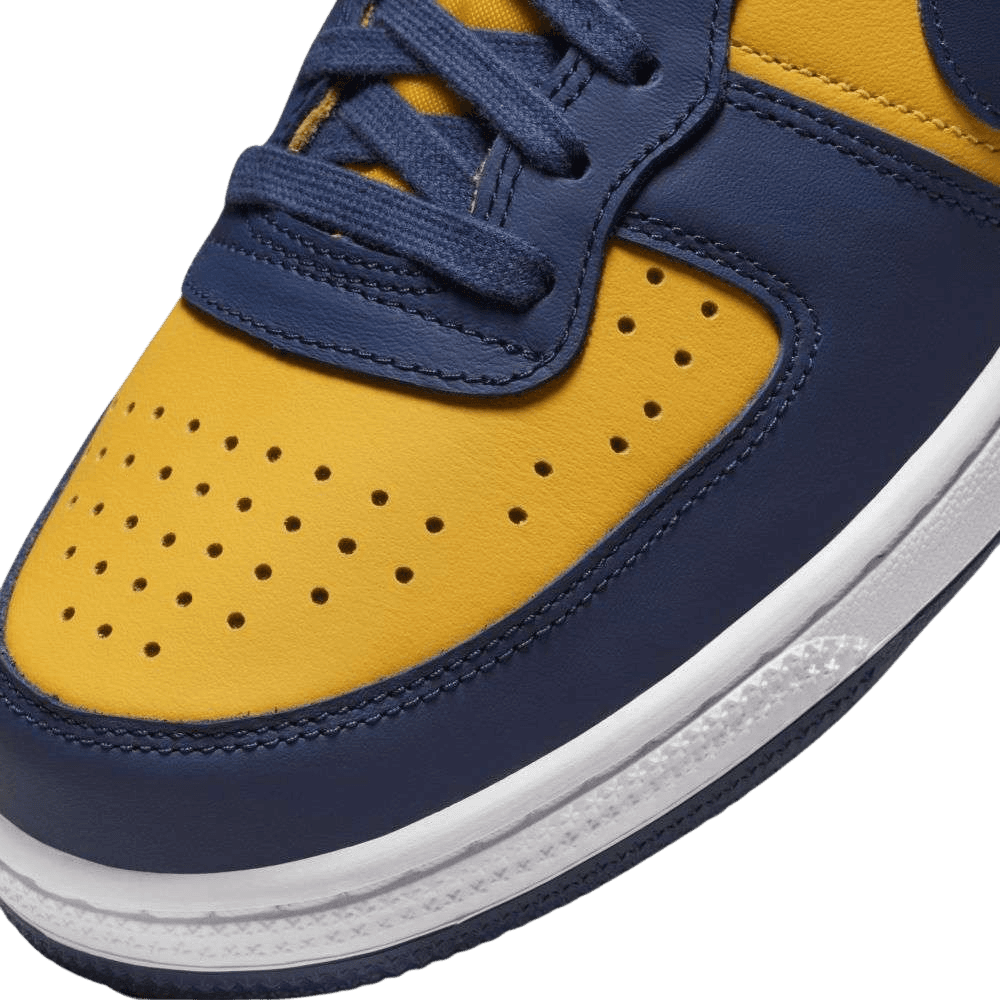 Nike Terminator Low Michigan