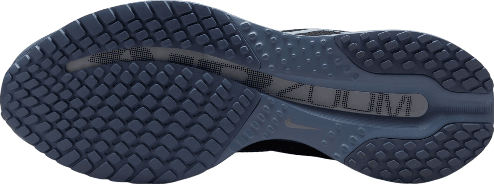 Nike Pegasus Premium Anthracite