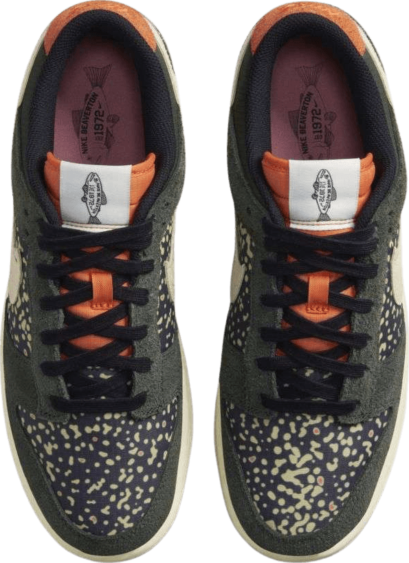 Nike Dunk Low Rainbow Trout