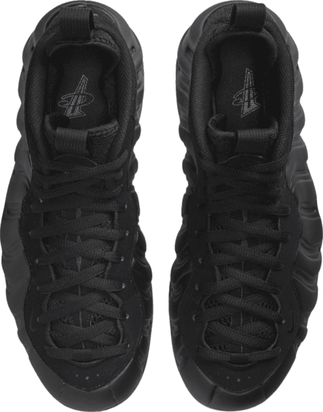 Nike Air Foamposite One Anthracite (2023)