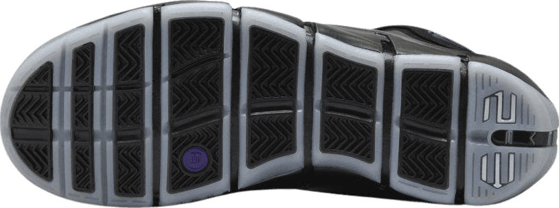 Nike LeBron 4 Eggplant