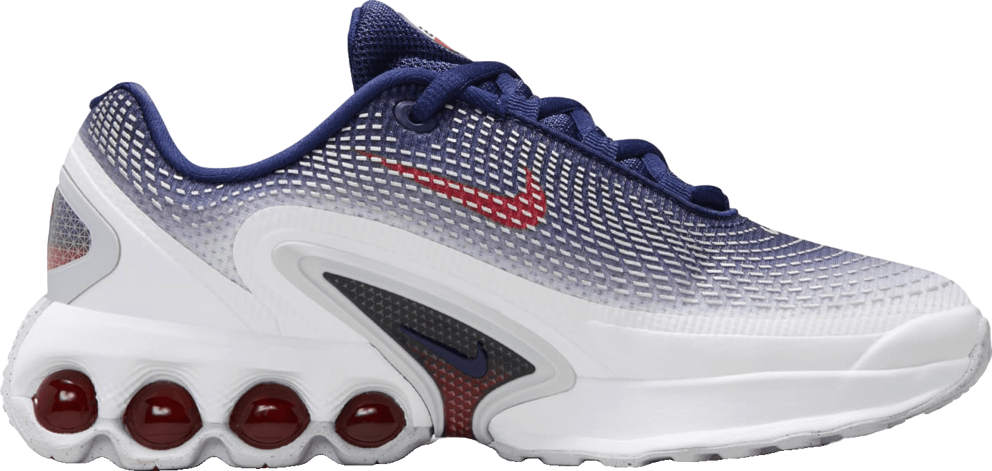 Nike Air Max DN Olympic (GS)